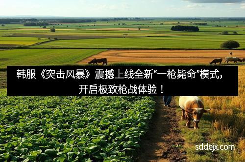 韩服《突击风暴》震撼上线全新“一枪毙命”模式，开启极致枪战体验！
